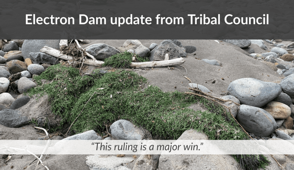 Electron Dam Update from Tribal Council