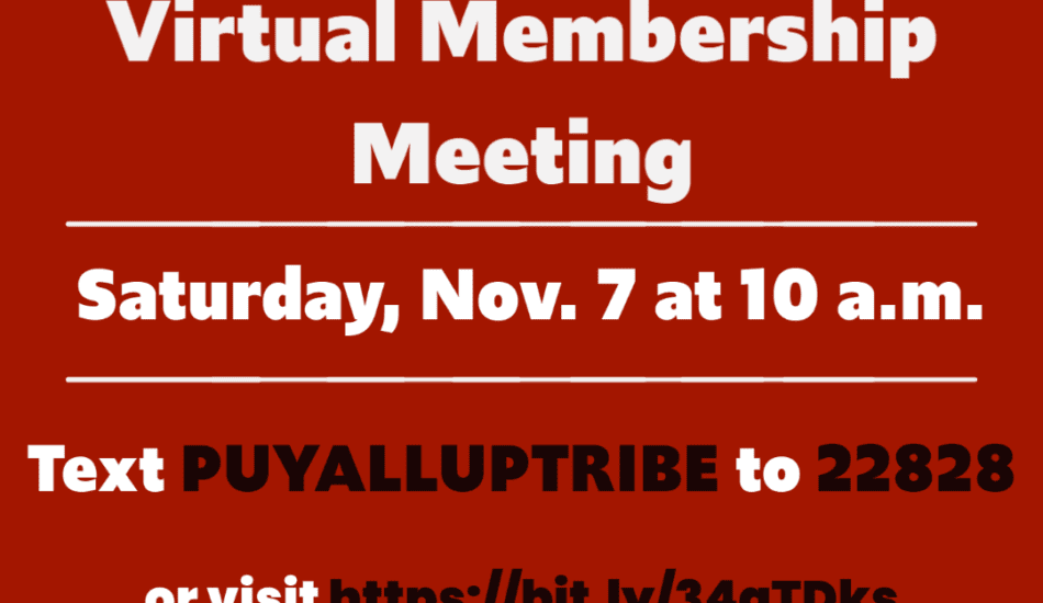 Virtual Membership Meeting, Saturday Nov. 7