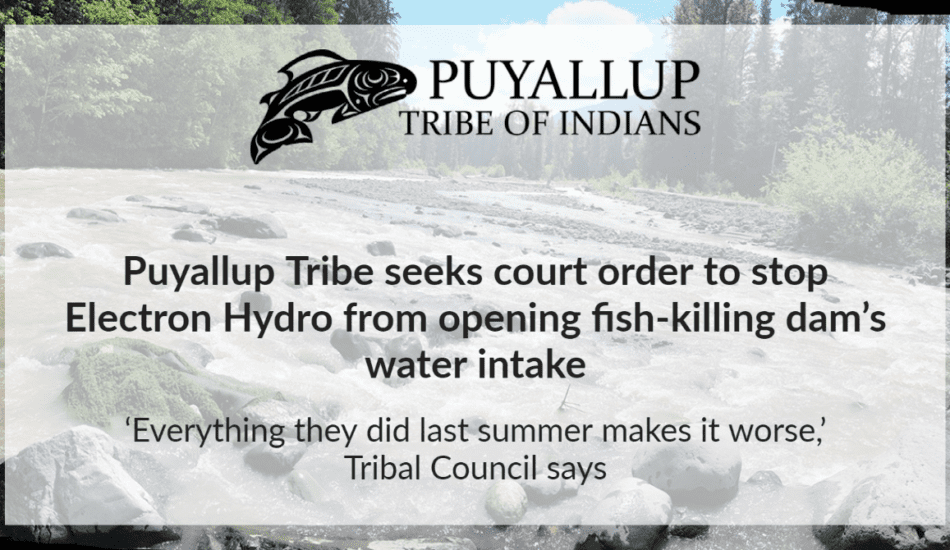 Puyallup Tribe Seeks Court Order to Stop Electron Hydro From Opening Fish-killing Dam’s Water Intake