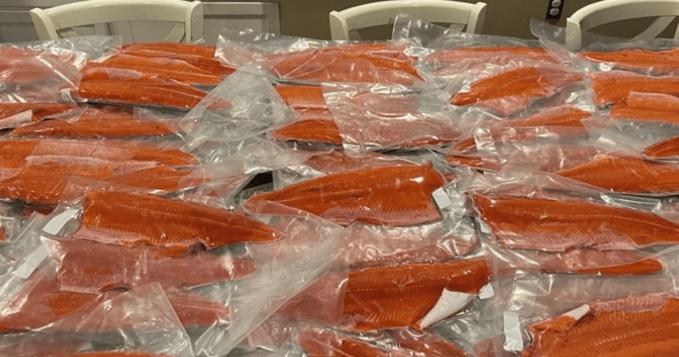 Insights from two Puyallup Tribal members on smoked salmon preparation