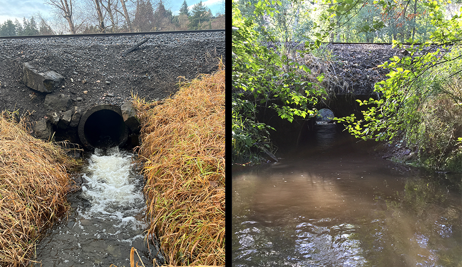 Tribal Fisheries benefit from National Culvert Removal funding