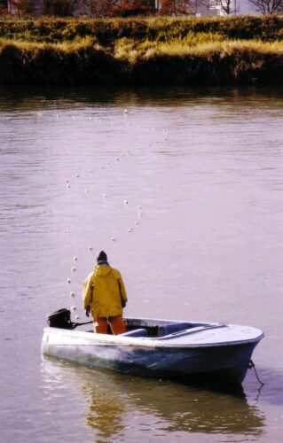 Puyallup Tribal fisherman on a boat during chum season on the Puyallup River.